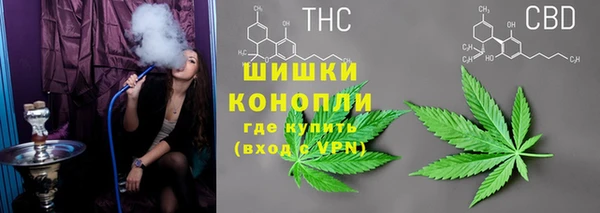 мдпв Осташков